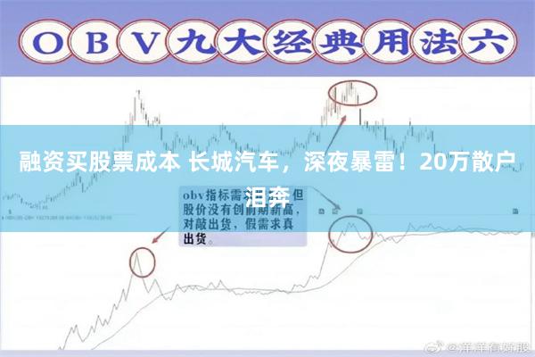 融资买股票成本 长城汽车，深夜暴雷！20万散户泪奔