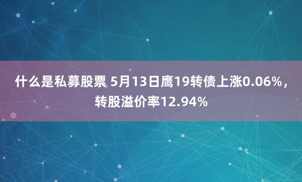 什么是私募股票 5月13日鹰19转债上涨0.06%，转股溢价率12.94%