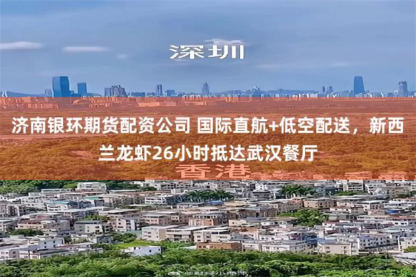 济南银环期货配资公司 国际直航+低空配送，新西兰龙虾26小时抵达武汉餐厅