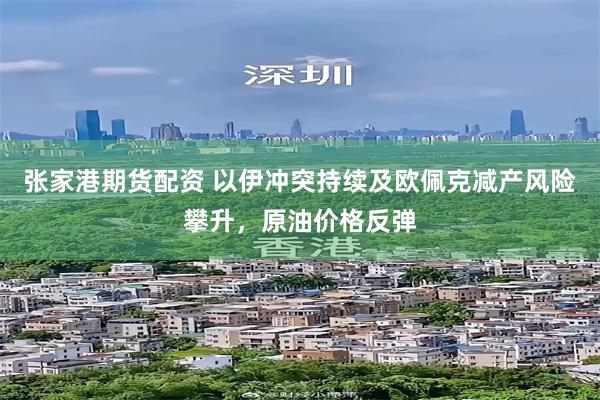 张家港期货配资 以伊冲突持续及欧佩克减产风险攀升，原油价格反弹