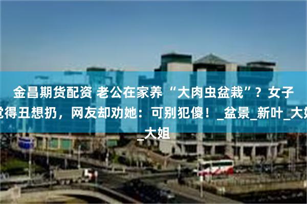 金昌期货配资 老公在家养 “大肉虫盆栽”？女子觉得丑想扔，网友却劝她：可别犯傻！_盆景_新叶_大姐