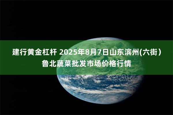 建行黄金杠杆 2025年8月7日山东滨州(六街)鲁北蔬菜批发市场价格行情