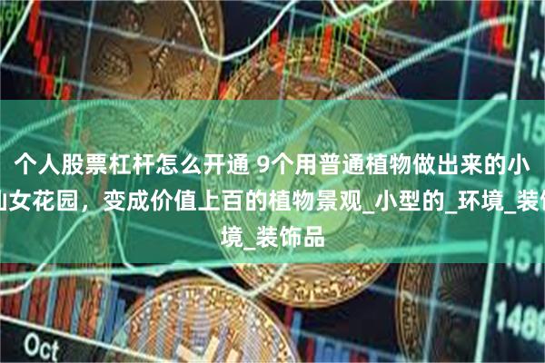 个人股票杠杆怎么开通 9个用普通植物做出来的小型仙女花园，变成价值上百的植物景观_小型的_环境_装饰品