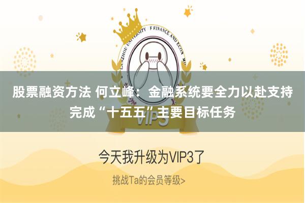 股票融资方法 何立峰:金融系统要全力以赴支持完成“十五五”主要目标任务